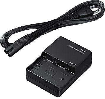 BC-61 Caricabatteria per SD Quattro