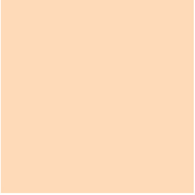 Fondale in carta 2,72x10m Wheat - 66