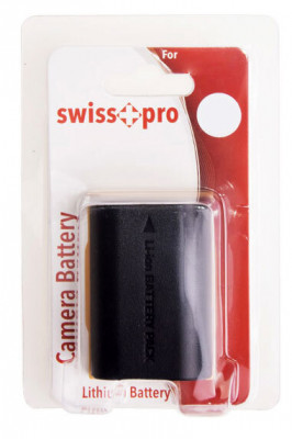 Batteria Litio PANASONIC BLG10E 770mAh