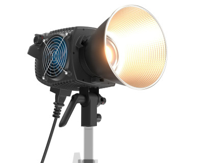 Molus B300