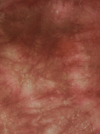 Fondale in stoffa 3x6m Rosso Bruno