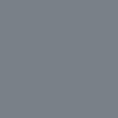 Fondale in carta 2,72x10m Grigio Natural - 04