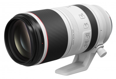 RF 100-500mm F4.5-7.1L IS USM